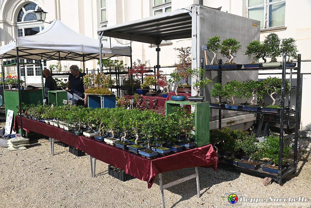 VBS_0815 - Anteprima FloReal 2025.jpg